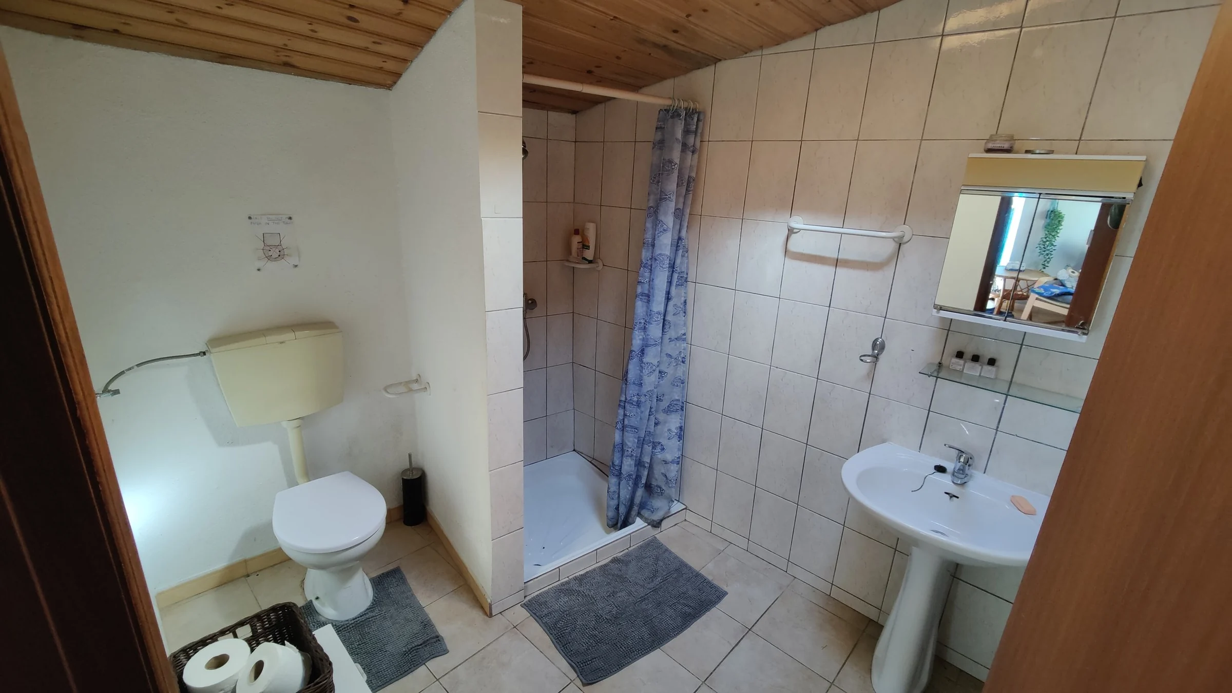 The private bathroom and shower inside the guest annex