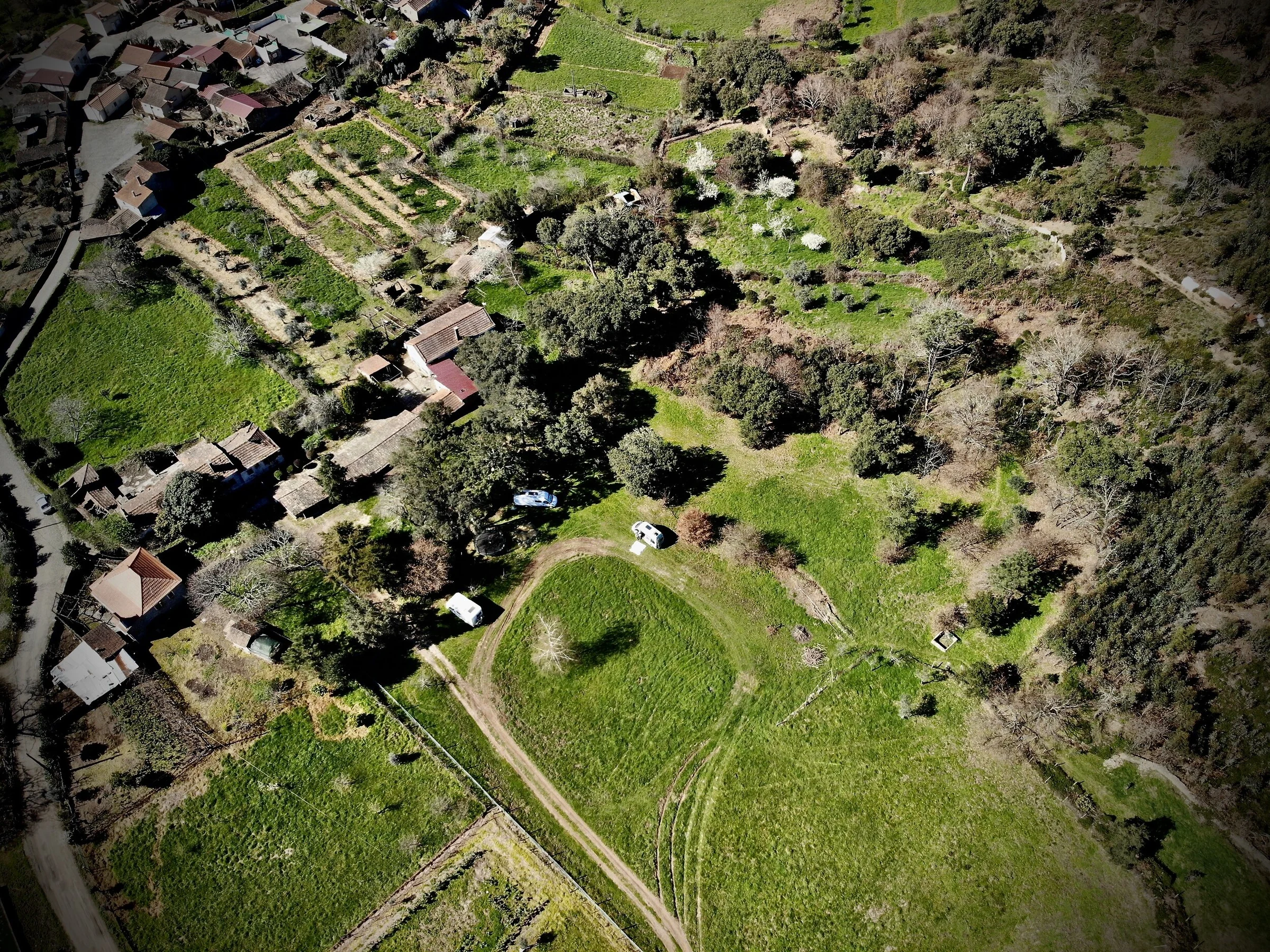 The family's four-acre rural home and surrounding forest in Central Portugal