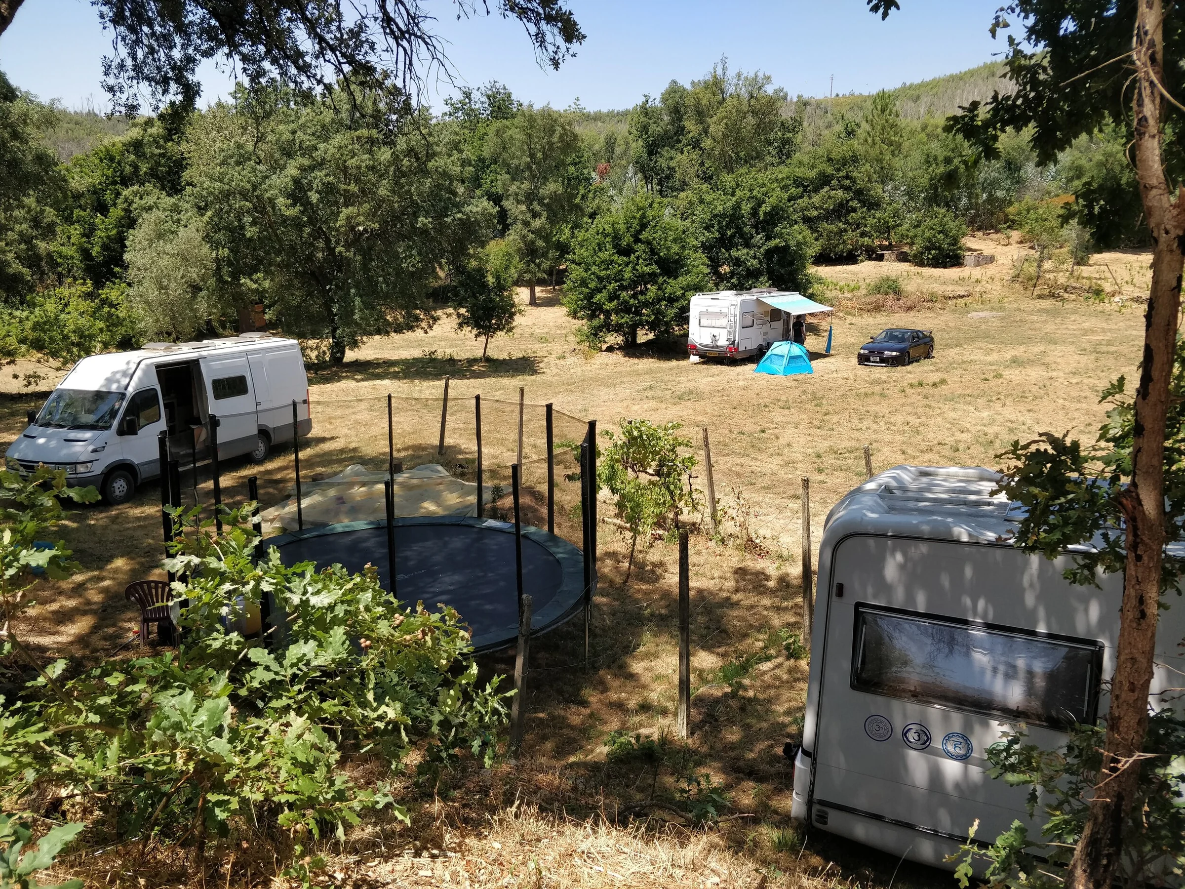 Campervans and caravans parked among trees on the family's land in Central Portugal