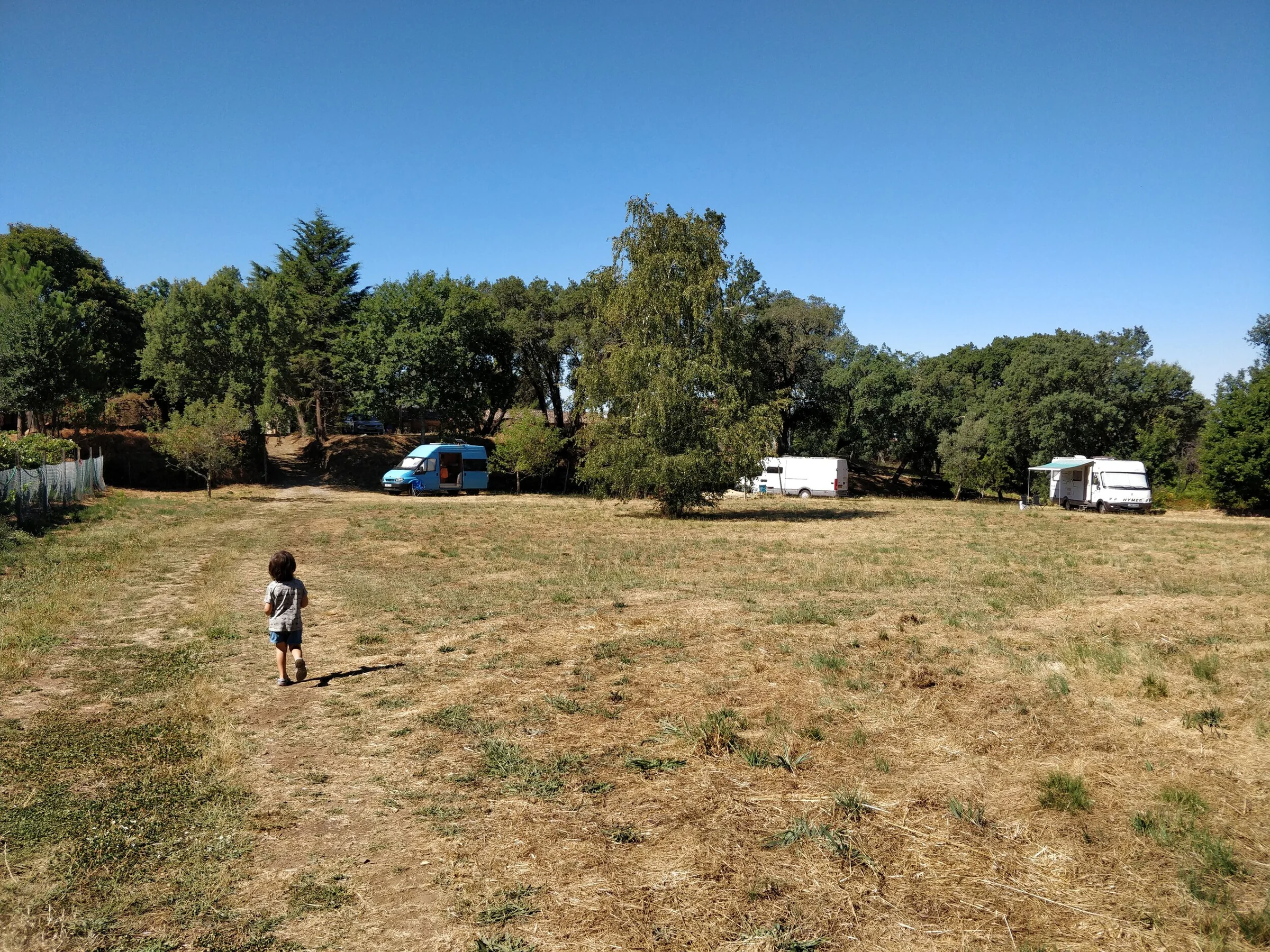 A spacious sunny camping field bordered by trees at the family's home in Central Portugal