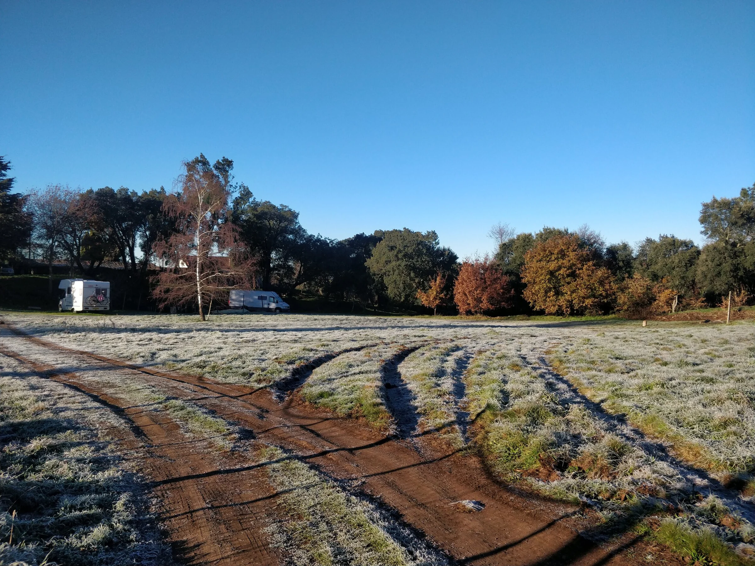 A quiet frost-covered track winding through the family's rural home in Central Portugal